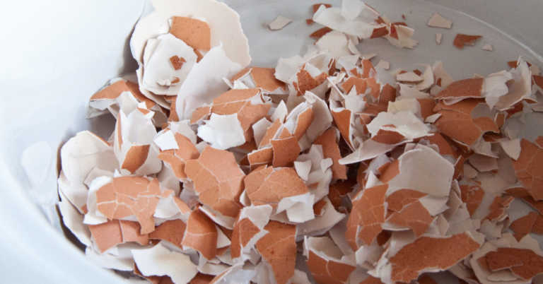 Un-egg-spected Ways To Use Eggshells Around Your Home