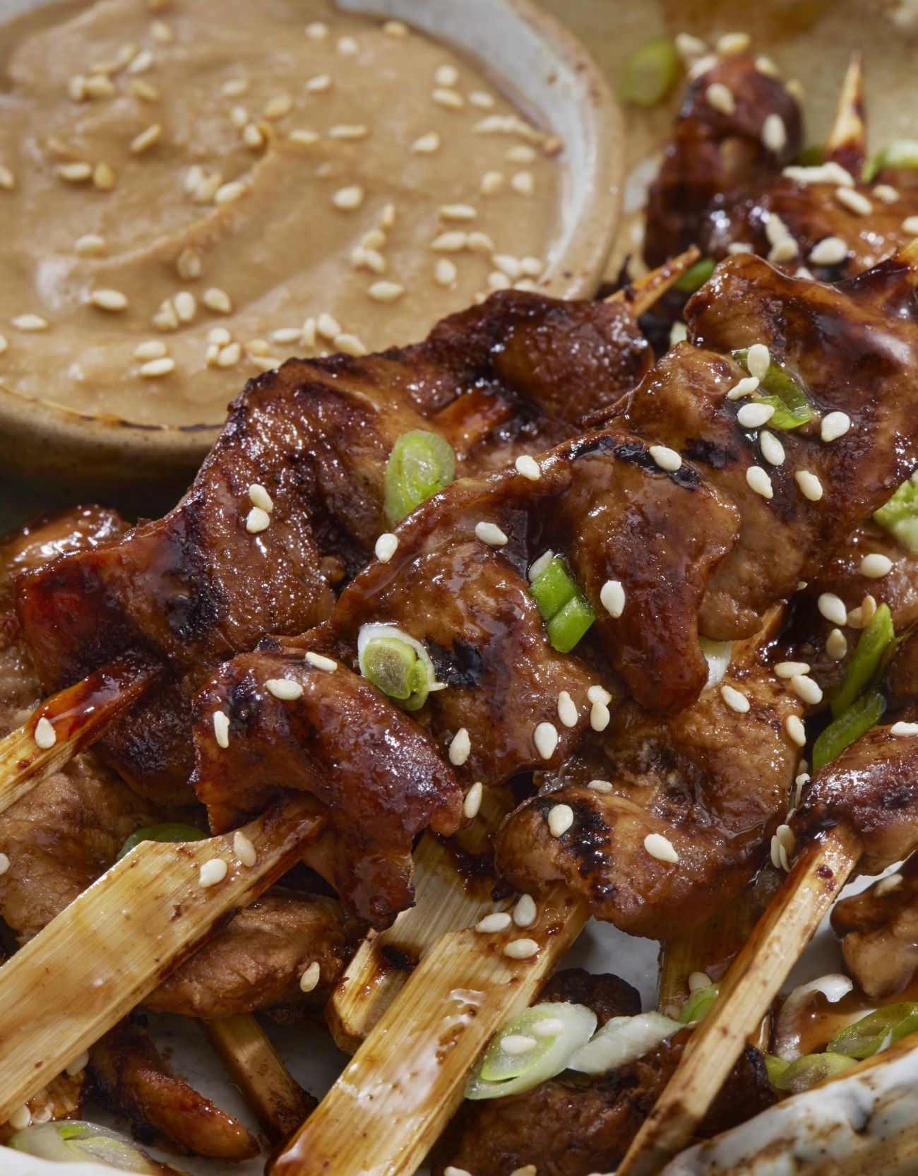 Teriyaki Pork Skewers Vertical 3