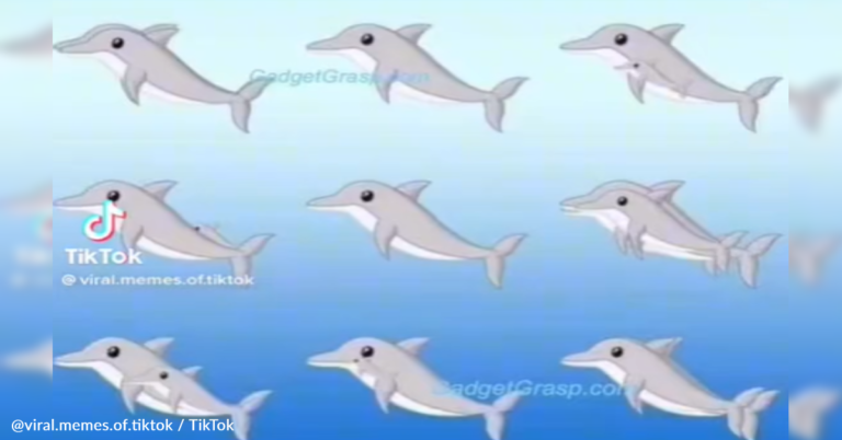 How Many Dolphins Do You See In This Optical Illusion?