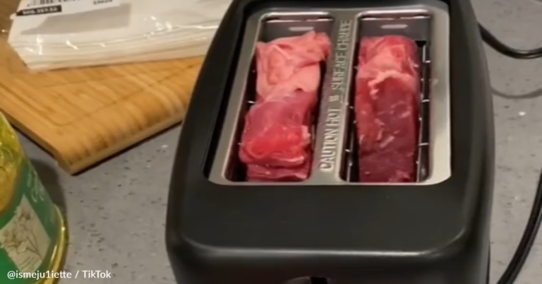 Woman Cooks Steak In A Toaster In Viral TikTok Video