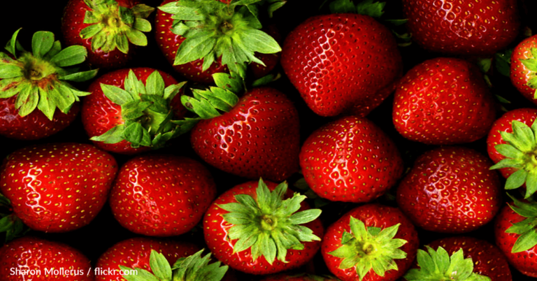 The World’s Sweetest Strawberries Are Coming From Japan To The U.S.