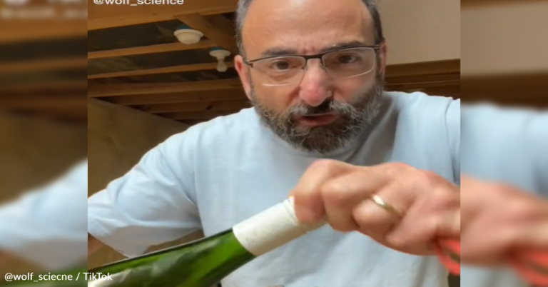 Science Teacher Explains Why Wine Stoppers Are Made Of Cork