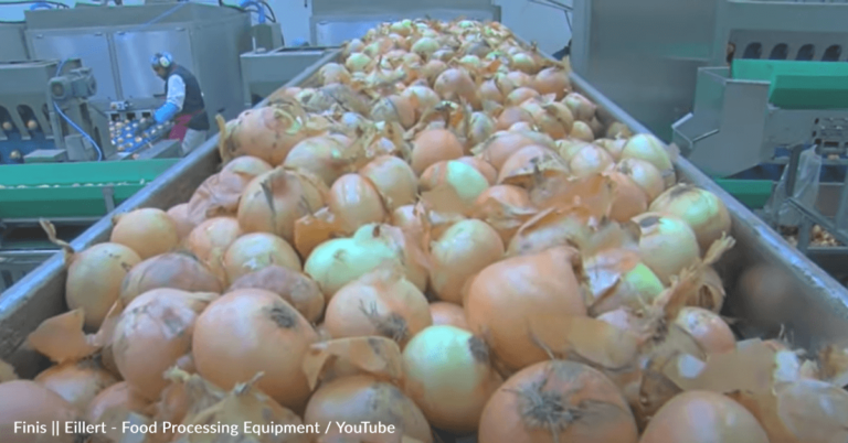 Company Creates Automatic Onion Peeler That Removes Skins With Air
