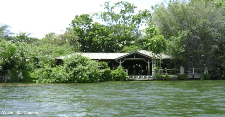 Camper Arrested After Being Found On Disney’s Discovery Island