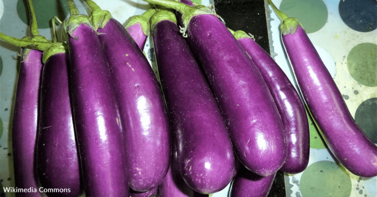 Linguist Explains Why Eggplant Is Called ‘Aubergine’ In Other Countries