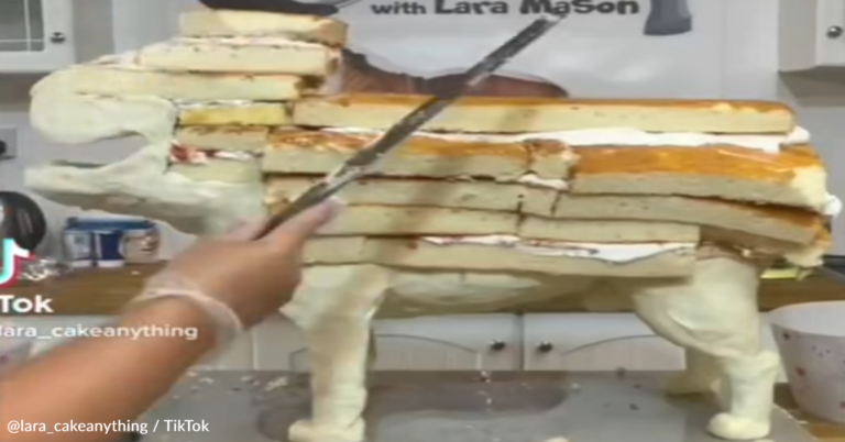 Baker Makes Realistic Birthday Cake That Looks Like A Bulldog