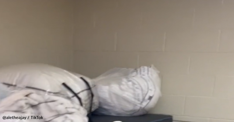 Woman Transforms Her Sister’s Dorm Room Into A Place Of Luxury