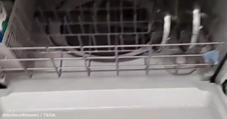 Woman Shares Dishwasher Cleaning Hack That People Can’t Get Enough Of