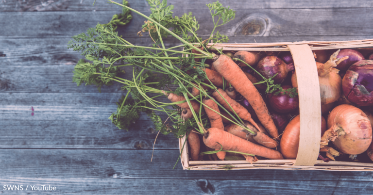 Mom Shares How She Meal Preps 8 Months Of Food For Her Family