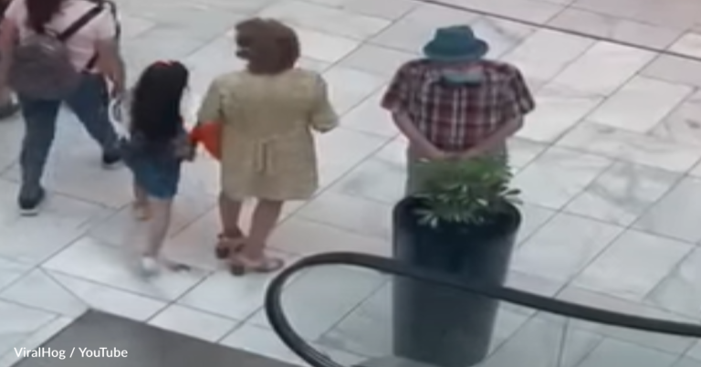 Video Captures Grandparents Stealing Potted Plant From The Mall
