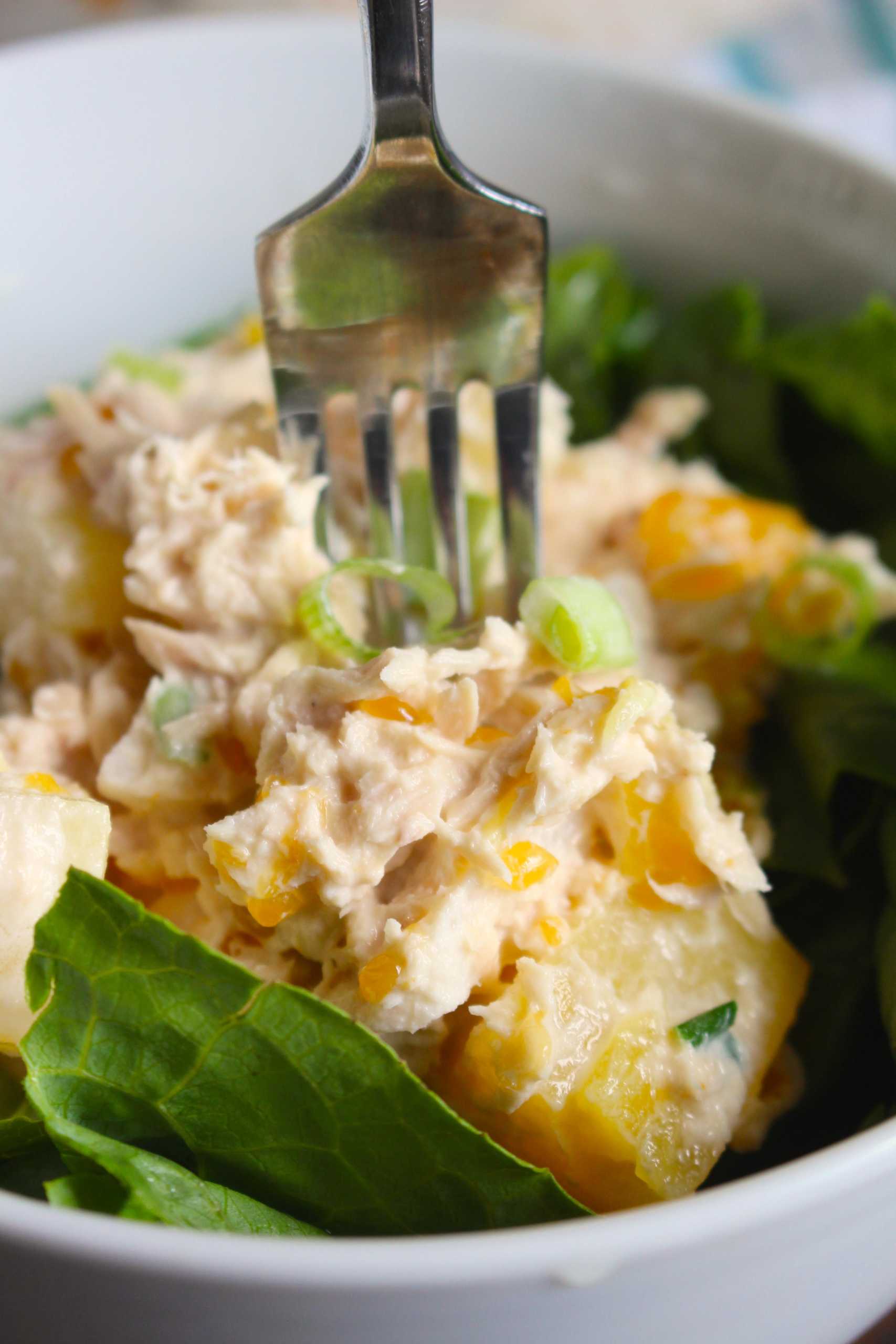 Tropical Tuna salad 2