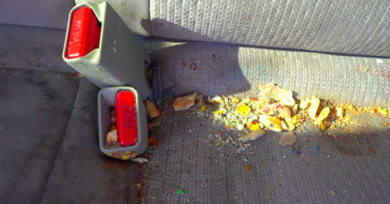 Man Cleans A Car Out And Removes Buckets Full of Dirt, Fur, And French Fries