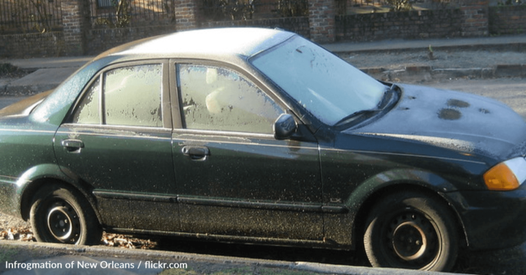 Frost Transforms Windshield Into A Winter Wonderland