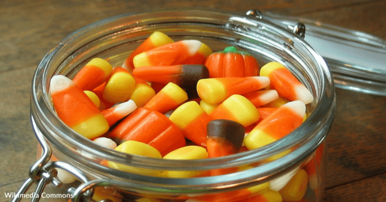 Did You Know That Insects Are An Ingredient In Candy Corn?