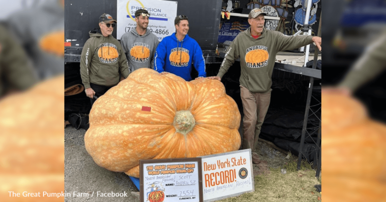 Man Breaks U.S. Record For Growing Largest Pumpkin In History