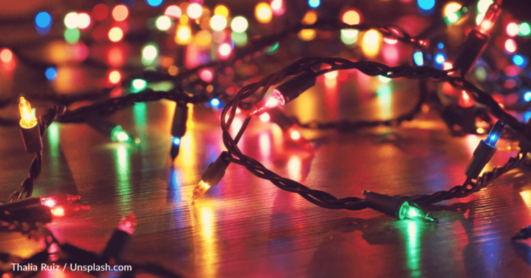 Budget Savvy Mom Divides Internet With Christmas Money-Saving Tips