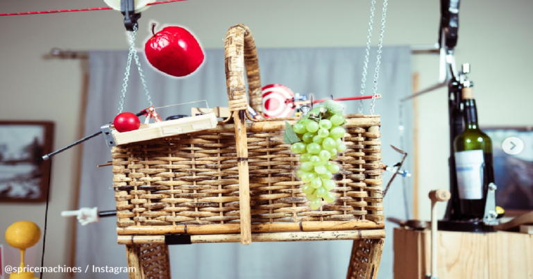 Inventors Create Rube Goldberg Machine That Automatically Sets Up A Picnic