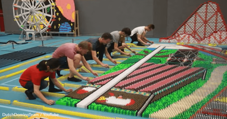 Team Creates Record-Breaking Amusement Park-Themed Domino Run Using 750,000 Pieces