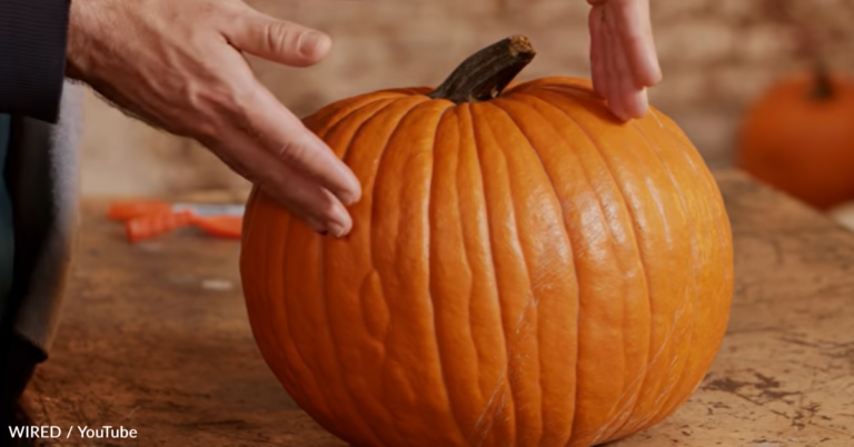 Professional Pumpkin Carver Shares Tips And Tricks For Creating A Pumpkin Masterpiece