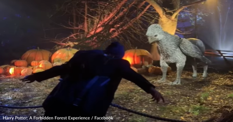 The Long-Awaited “Harry Potter: A Forbidden Forest Experience” Is Now Open To The Public