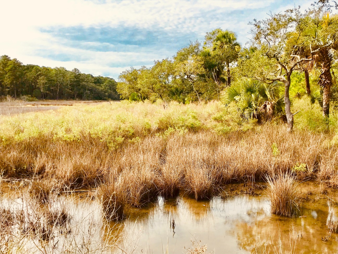 Edisto Island