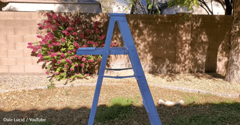 How To Make A Tree-Shaped Christmas Display Using A Ladder
