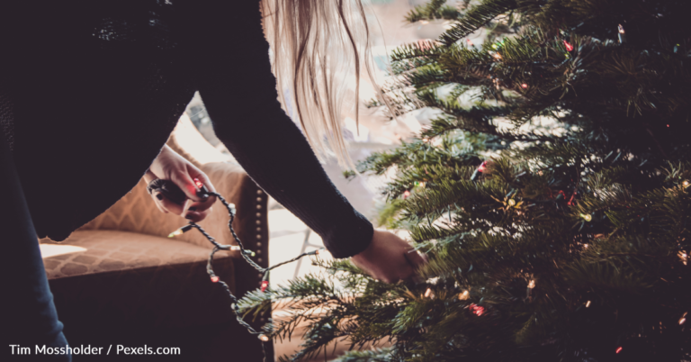 You Can Expect To Pay More For Your Christmas Tree This Year