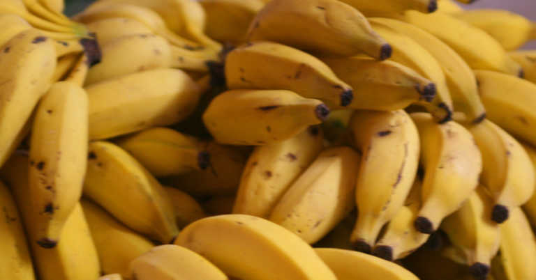 Would You Make Banana Wine?