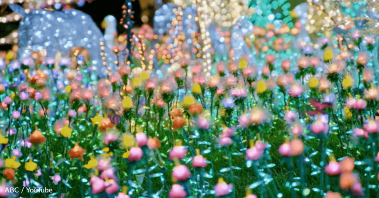 Grandma’s “Peaceful Meadow” Christmas Light Display Captures Attention From Around The Nation