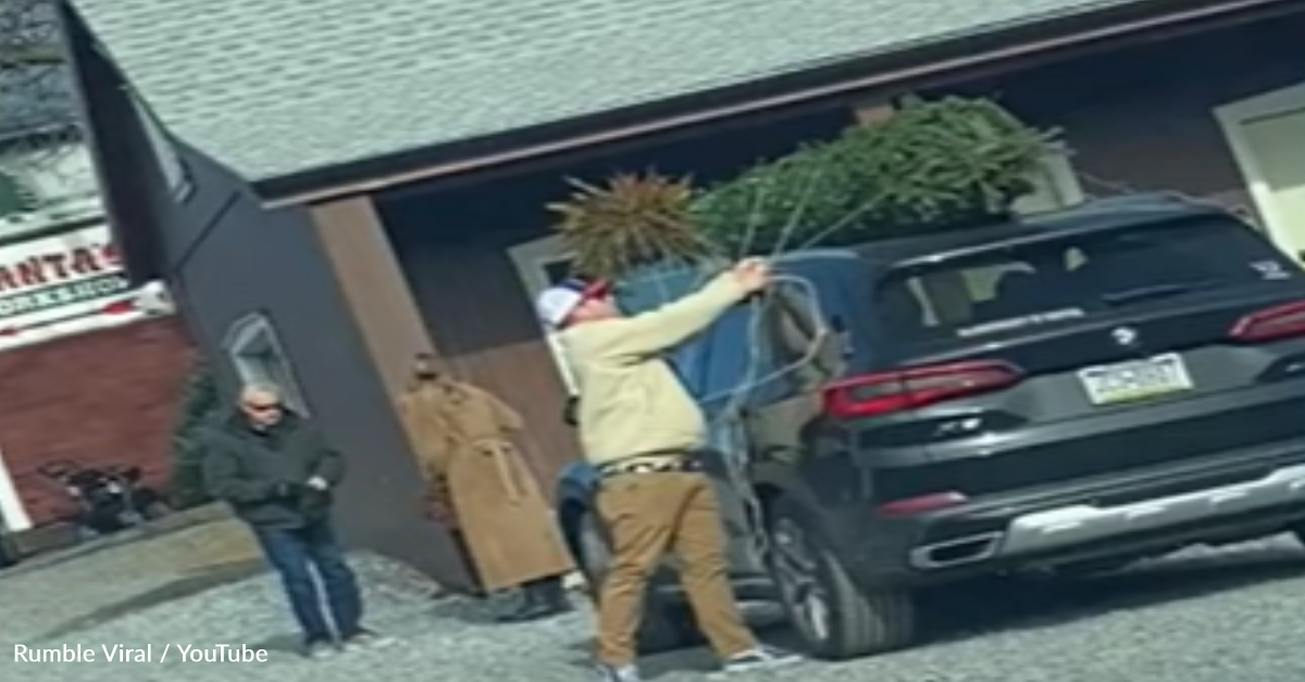 Man Ties Christmas Tree To Roof Of Car But It Doesn’t Work Out Like He