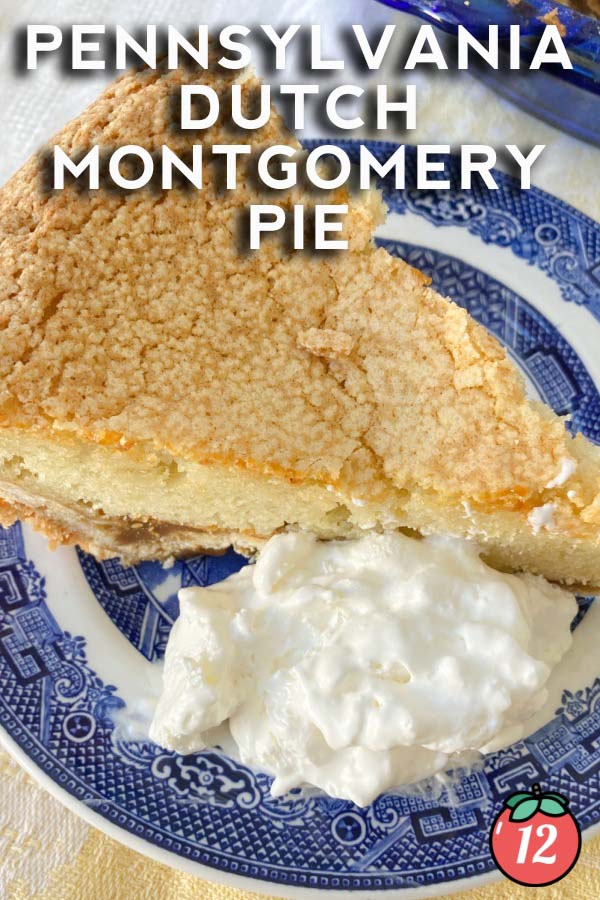 Easy Montgomery Pie Recipe 2023 AtOnce