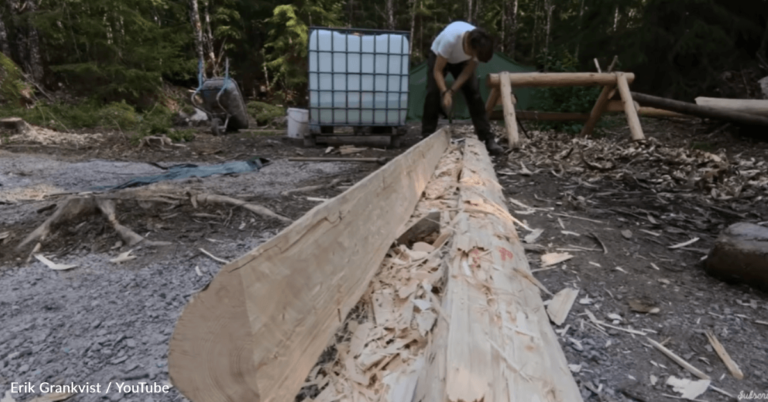 Teen Builds Cabin In The Woods Without Using Power Tools