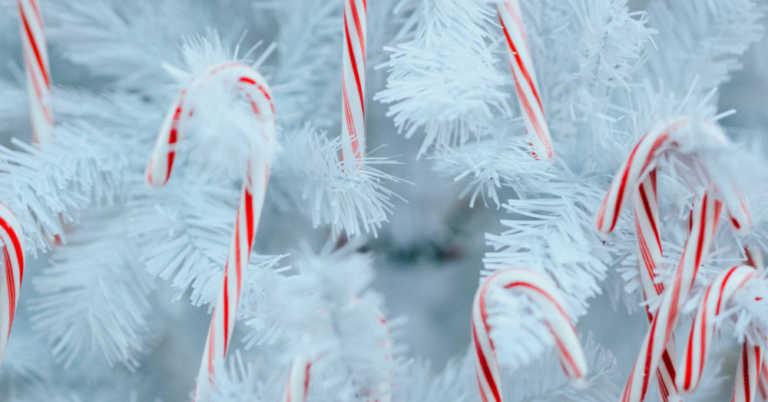Why Is Peppermint Associated With Winter?