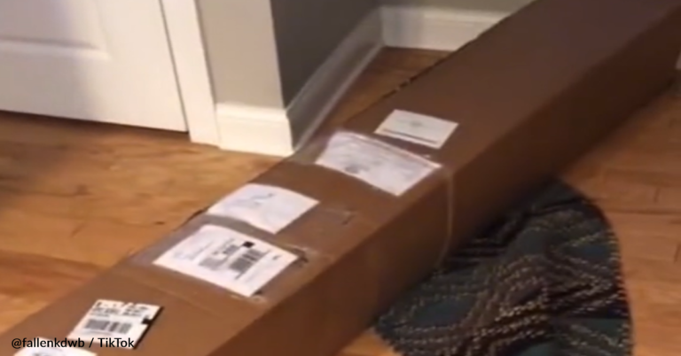 Woman Buys Realistic “Fake Christmas Tree” And Gets A Surprise When It Arrives