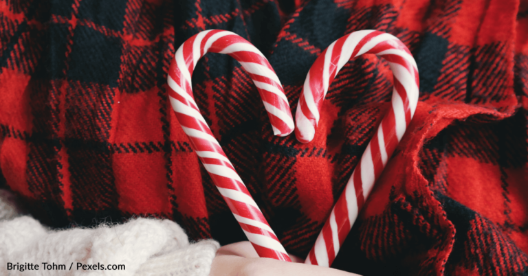 You Can Get Sardine-Flavored Candy Canes This Holiday Season