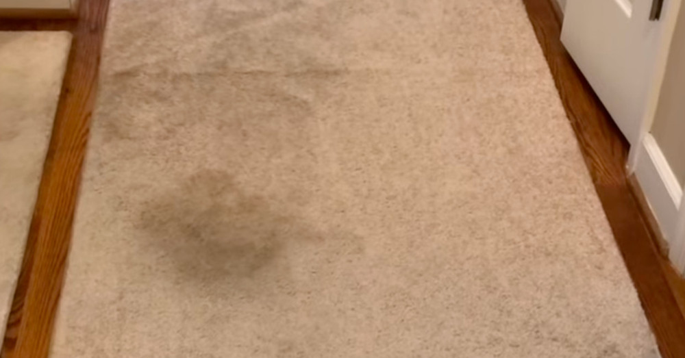 Remove Deep Set In Carpet Stains With These Two Household Items You