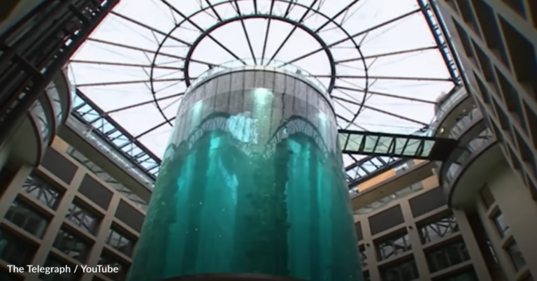 Massive Aquarium Housing 1,500 Fish Bursts In Hotel Lobby, Injuring 2