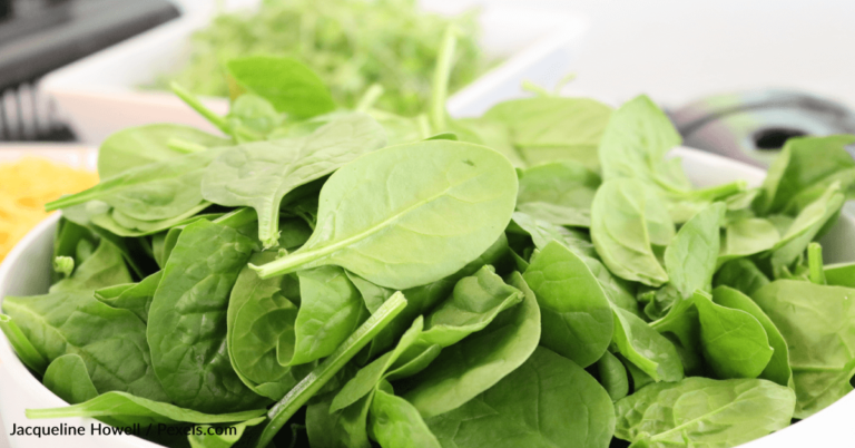 Health Authorities Recall Baby Spinach Due To Toxin Exposure