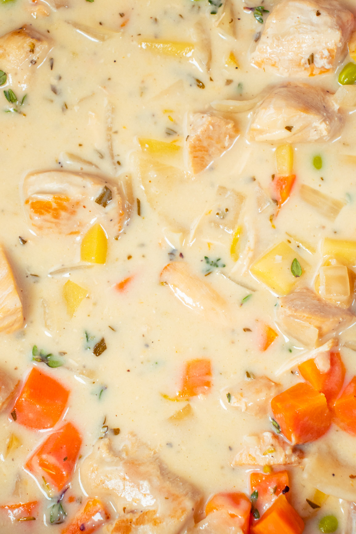 Slow Cooker White Wine Chicken Stew