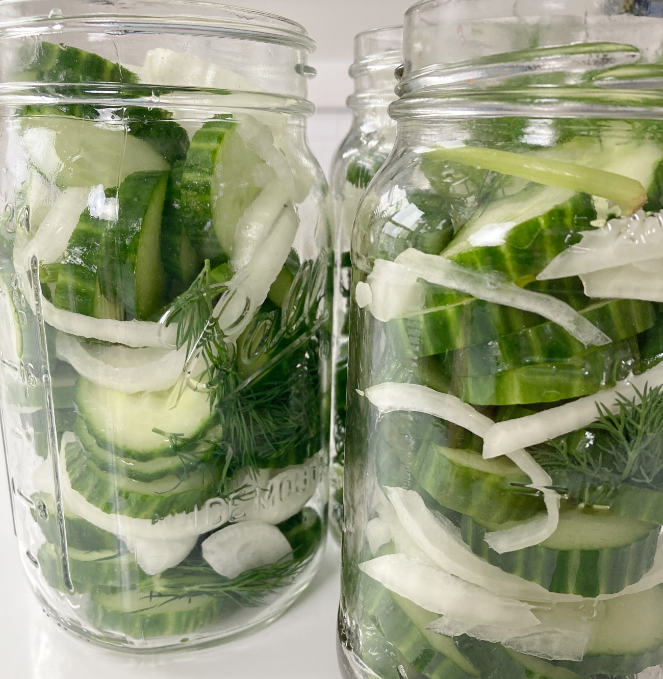 Layer cucumber, onion, and dill into 2 3-quart jars. Add remaining ingredients to stainless steel or enameled saucepan and bring to a boil. Cook until salt and sugar have dissolved, about 3-5 minutes.