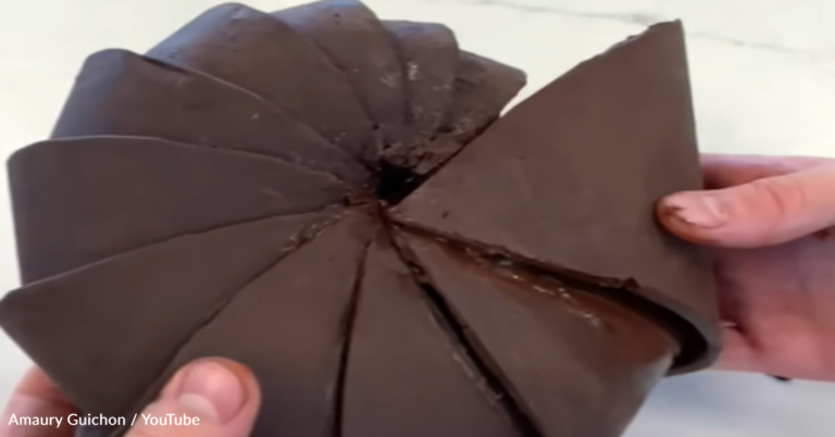 Pastry Chef Uses Chocolate To Create Stunning Chambered Nautilus