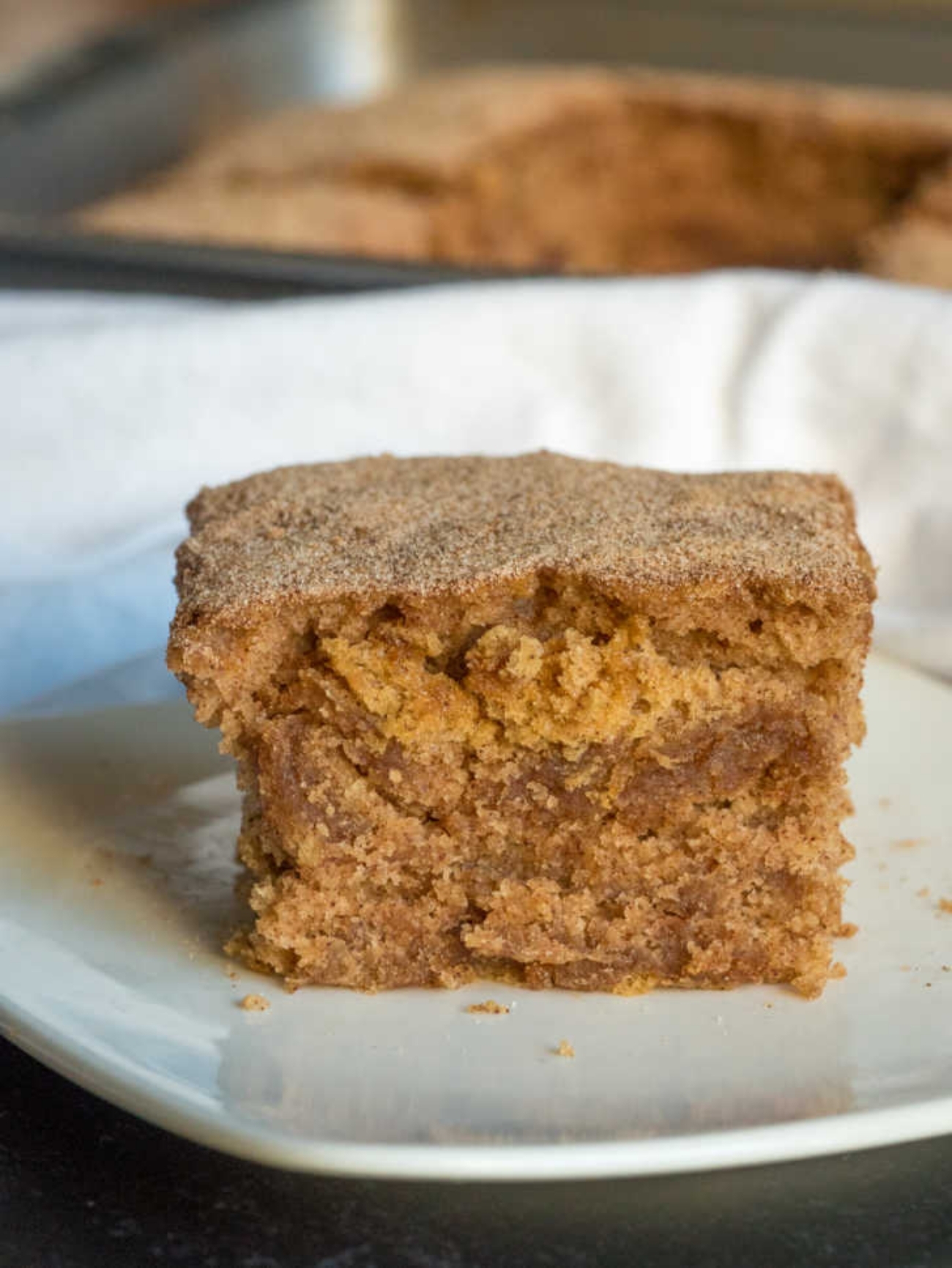 snickerdoodle crazy cake