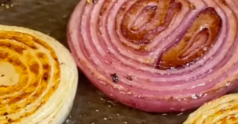 A Frugal But Flavorful Sandwich — Caramelized Onion Sandwich