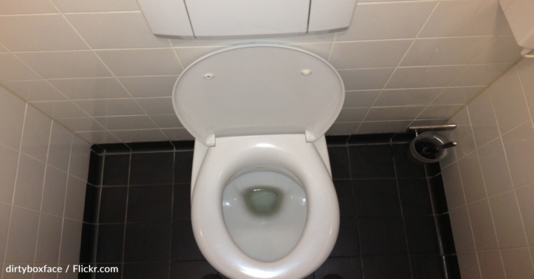 You Could Be Paid Up To $1500 Per Month To Donate Your Poop