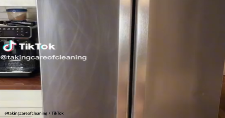 Man Attempts To Clean The Fridge But Ruins It Instead