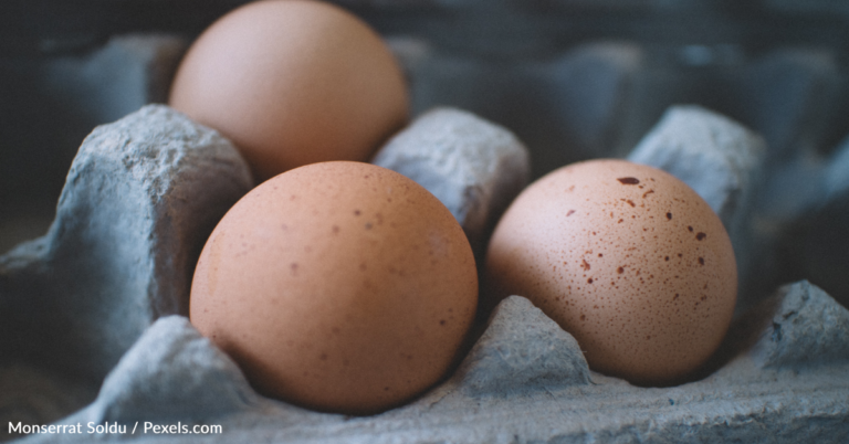 Egg Prices Are Expected To Fall 30% This Year