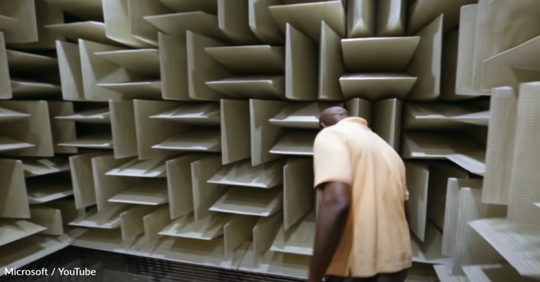 Would You Enter The Quietest Room On Earth?