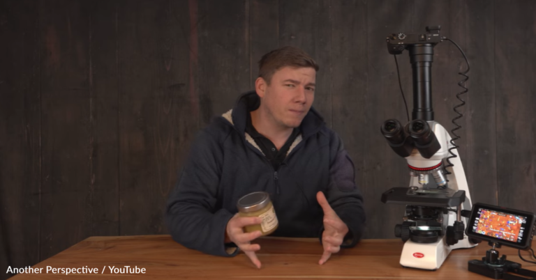 Have You Ever Looked At Honey Under A Microscope?