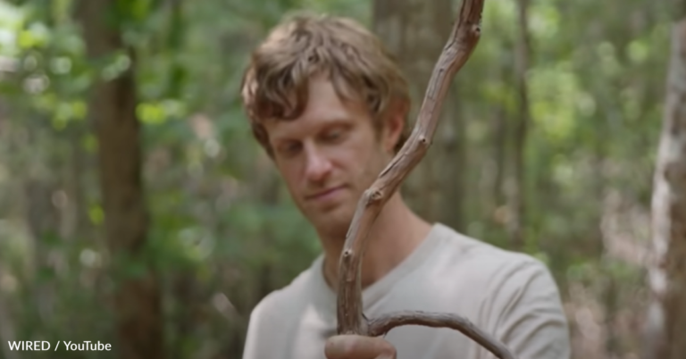 Watch: Artist Creates Massive Sculptures Using Foraged Tree Branches
