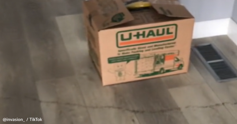 Woman Leaves Donuts Out Before Heading On Vacation And Returns Home To Huge Surprise